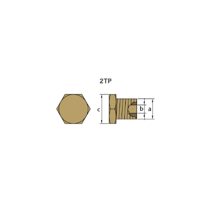 AIFO-FTP brass plug th. 18X1,5  for pencil anode