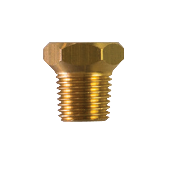 Bukh brass plug th.1/4'' NPT (gas conico)