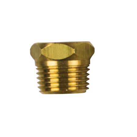 Lombardini Brass Plug 1/2''Bspt