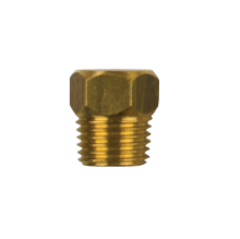 Ford brass plug th. 1/4'' bspt