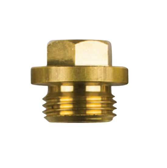 Scania  brass plug th.1/2''GAS  for pencil anode
