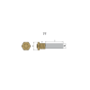Isotta fraschini pencil anode Ø 20 L.33,5 complete with brass plug M8