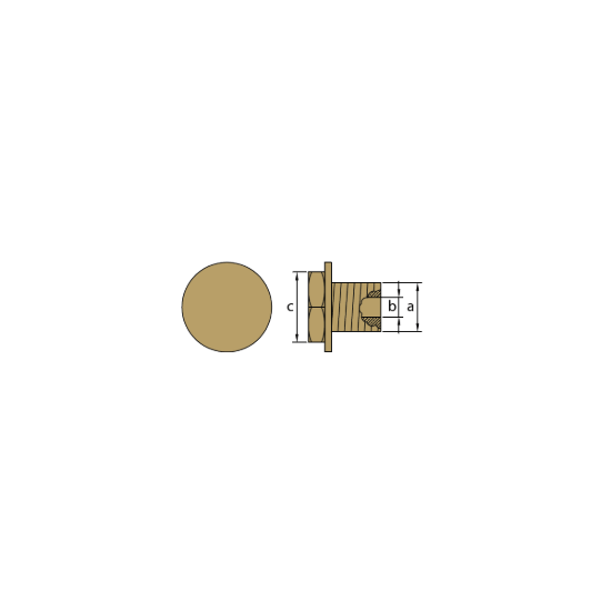 Scania  brass plug th.1/2''GAS  for pencil anode